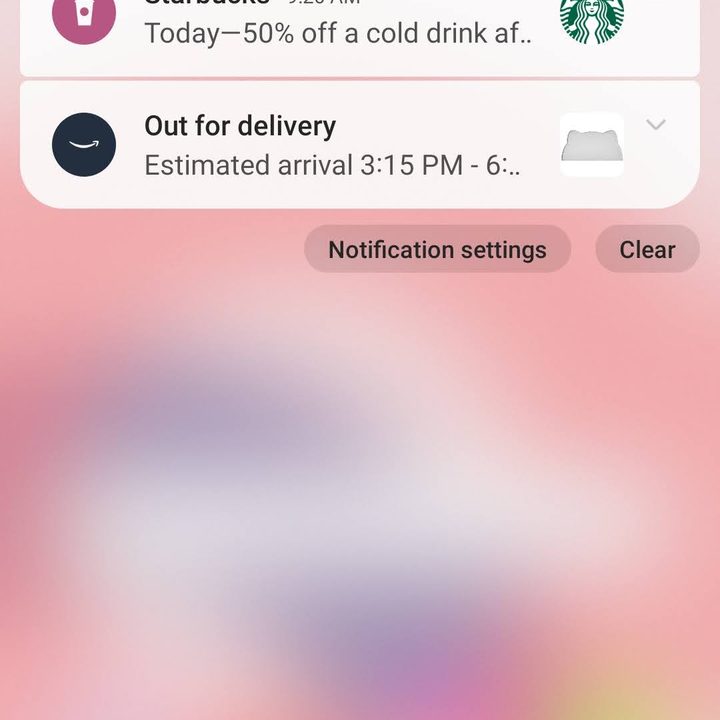 Notifications on the Samsung Galaxy Z Flip 5.