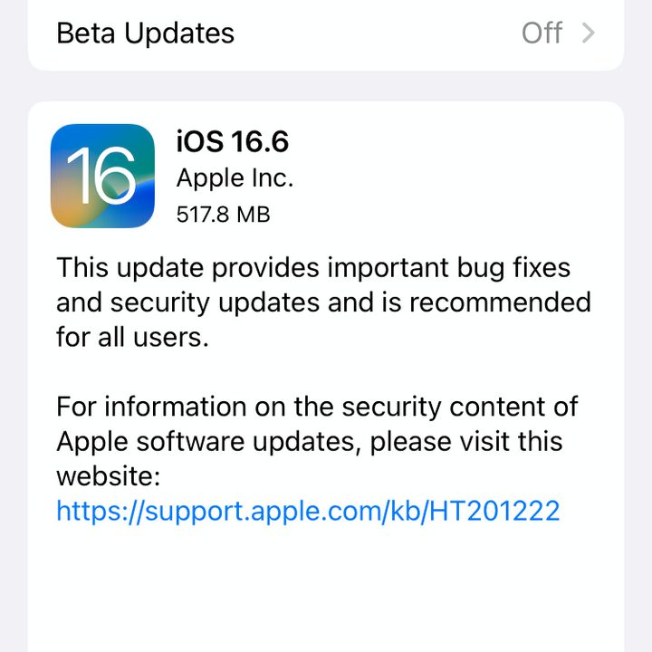 A software update is waiting to be installed.