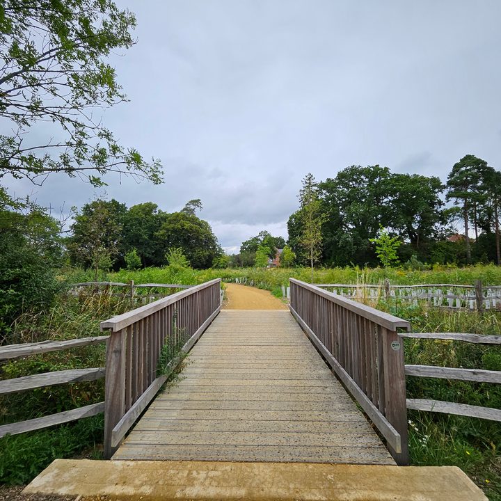 A photo taken with the Samsung Galaxy Z Fold 5's wide-angle camera.