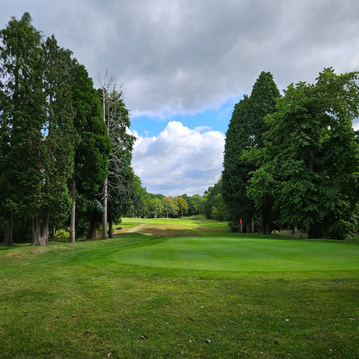 A photo taken with the Samsung Galaxy Z Fold 5's main camera.