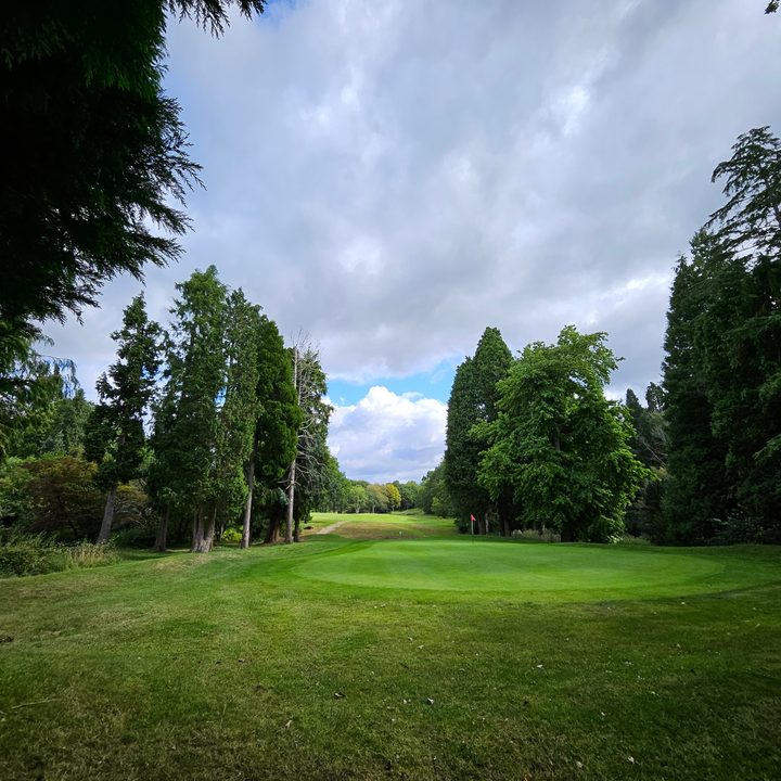 A photo taken with the Samsung Galaxy Z Fold 5's wide-angle camera.