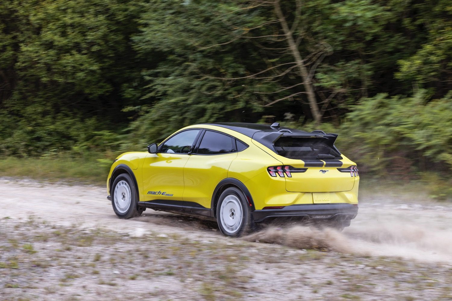 Ford Mustang Mach-E Rally driving on a dirt road.