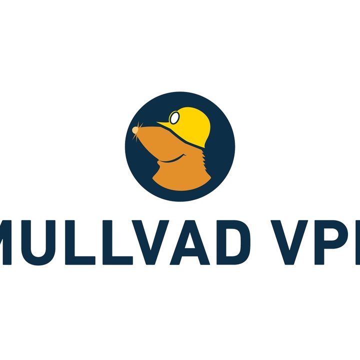 The Mullvad VPN logo against a white background.