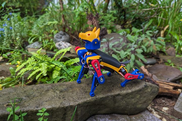 Petoi's Bittle X is a programmable robot kit that looks like a futuristic cyber-dog.