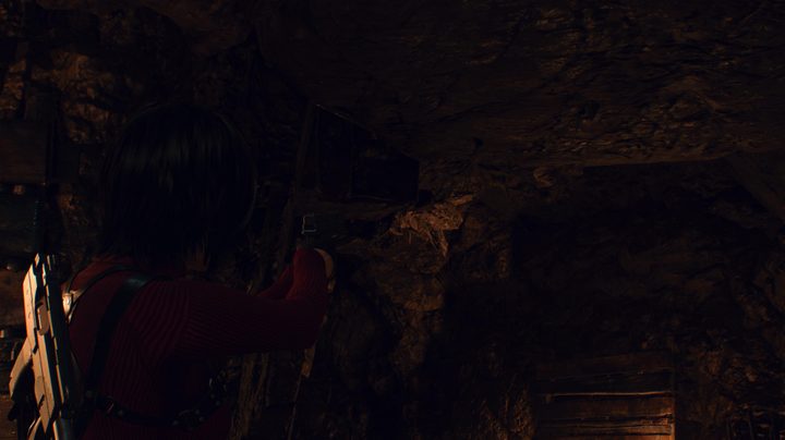 Bug location in Resident Evil 4