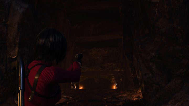 Bug location in Resident Evil 4