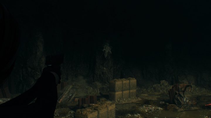 Resident Evil 4 bug location