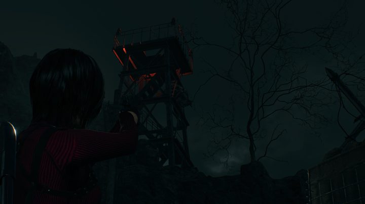 Resident Evil 4 bug location