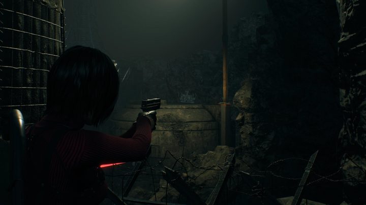 Resident Evil 4 bug location