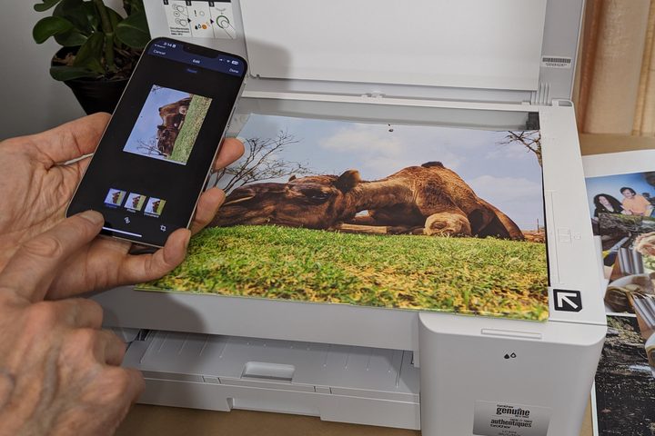 Scanning with the Brother MFC-J1205W is fast but photos require an extra step.