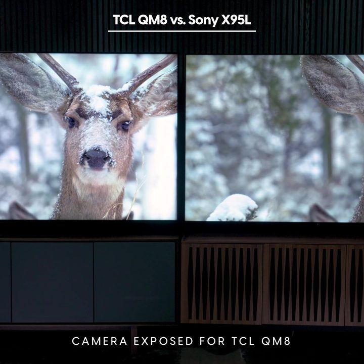 Side-by-side comparison of a scene of a deer in snow on a Sony Bravia X95L vs TCL QM8.