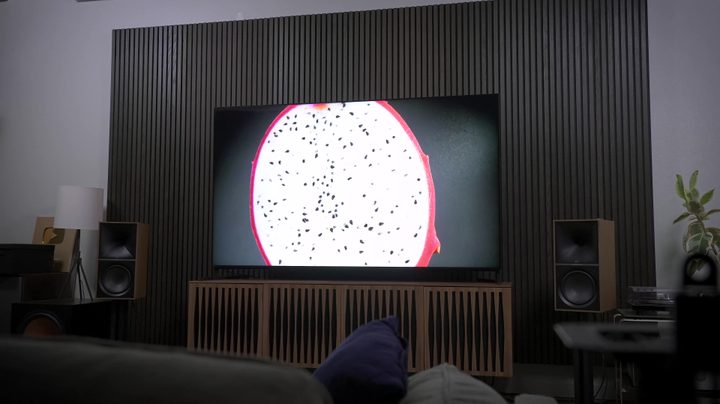 Sony Bravia X95L vs TCL QM8