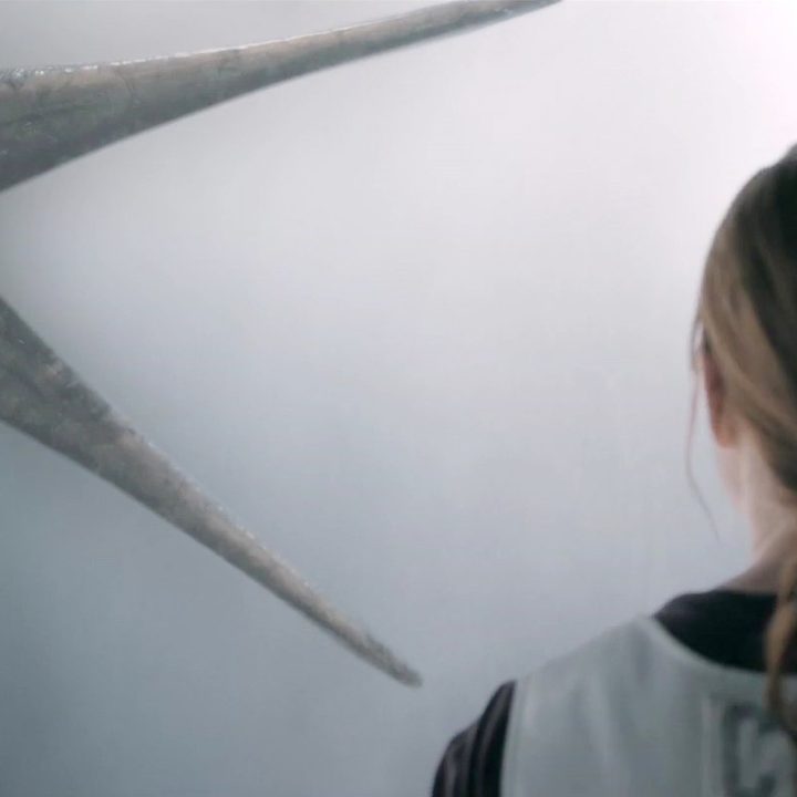 A woman attempts to touch an alien in Arrival.