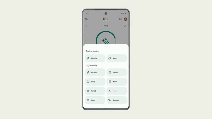 Fitbit app showing track progress screen.