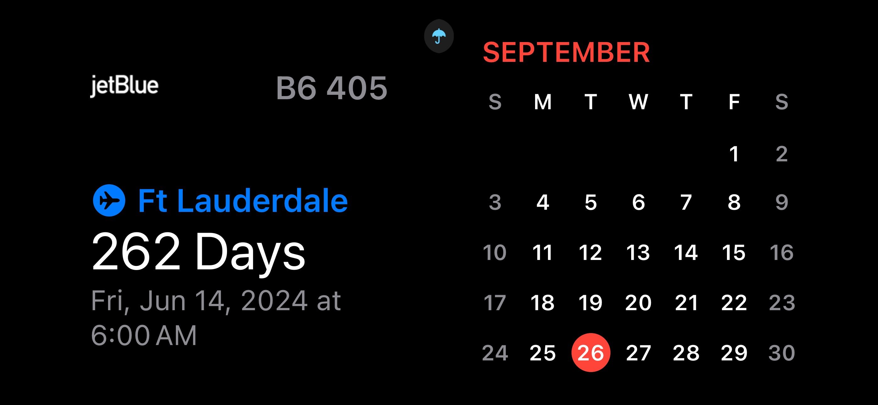 Flighty widget on iOS 17 StandBy.