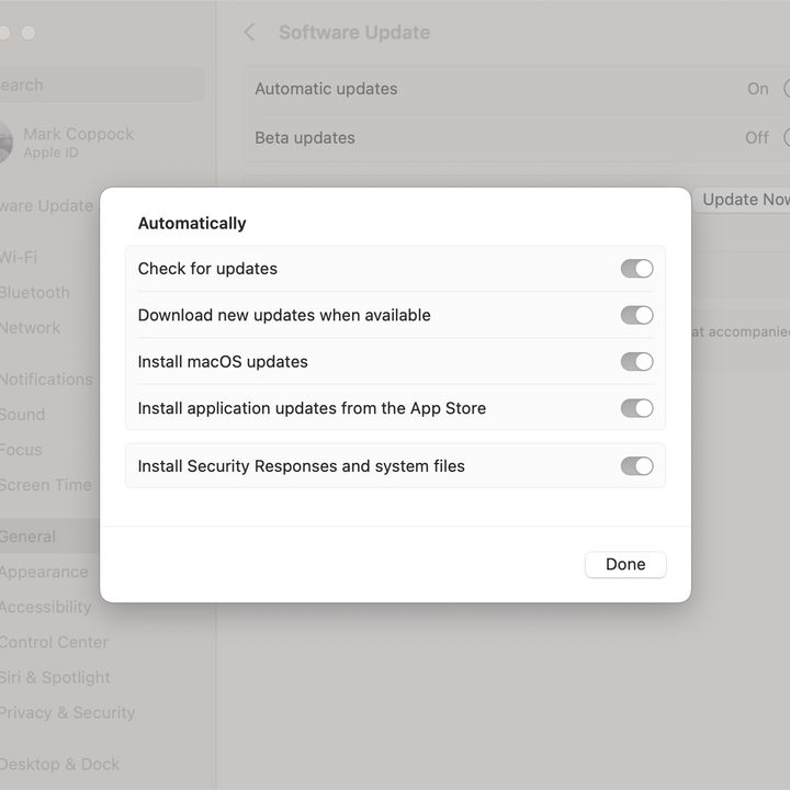 MacOS screenshot showing automatic update options.