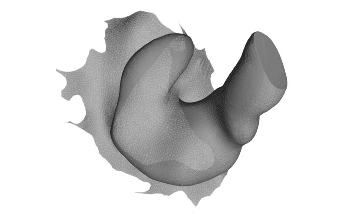 A 3D scan of Simon Cohen's left ear.