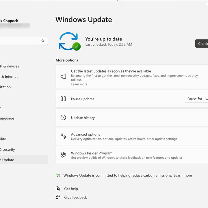 Windows 11 screenshot showing automatic update option.