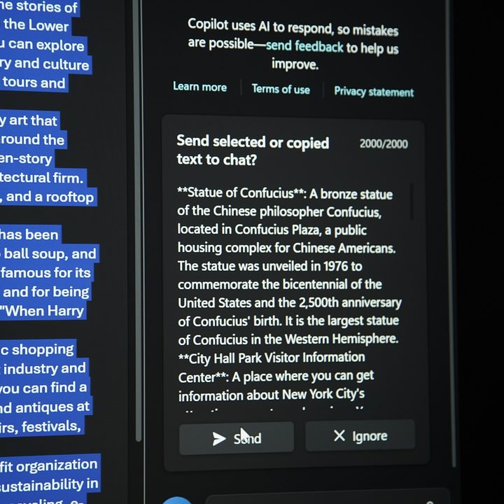 A screenshot of Microsoft Copilot.