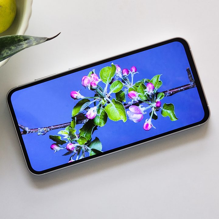 Samsung Galaxy S23 FE Dynamic 2X AMOLED display with a hole-punch camera.