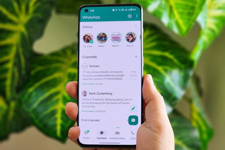 WhatsApp Status Updates and Channels on Android phone held in hand in front of a plant.
