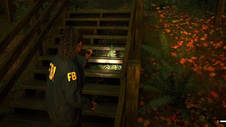 A leaf sticking out between stairs in Alan Wake 2.