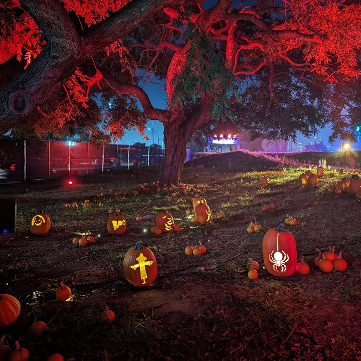 Jack-o-lanterns taken with Google Pixel 8 Pro main camera in low light.