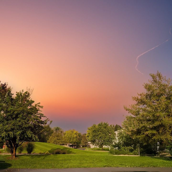 Photo of the sky with trees on the left and right of it, taken with the Google Pixel 8 Pro.