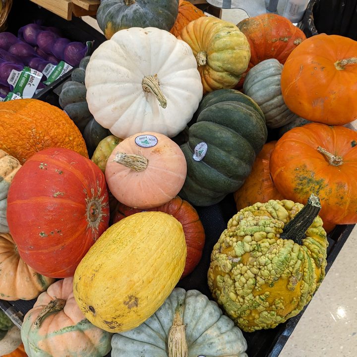 Photo of various squash and pumpkins together, taken with the Google Pixel 8 Pro.
