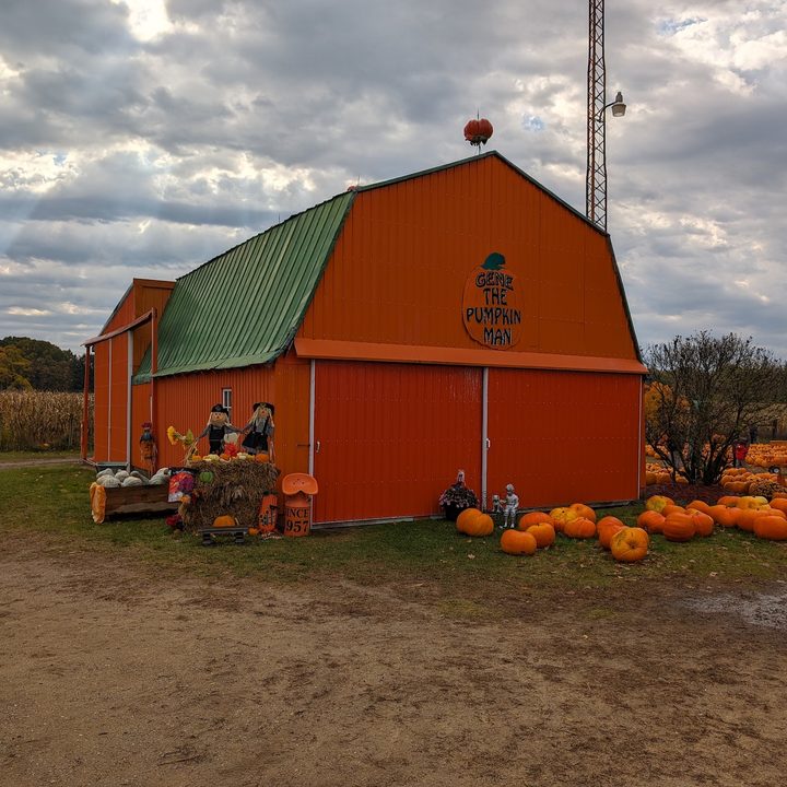 A photo of a barn and pumpkins by it, taken with the Google Pixel 8 Pro.