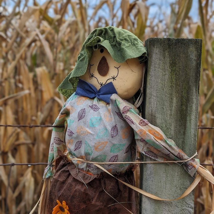 A portrait photo of a small scarecrow on a wooden fence, taken with the Google Pixel 8 Pro.