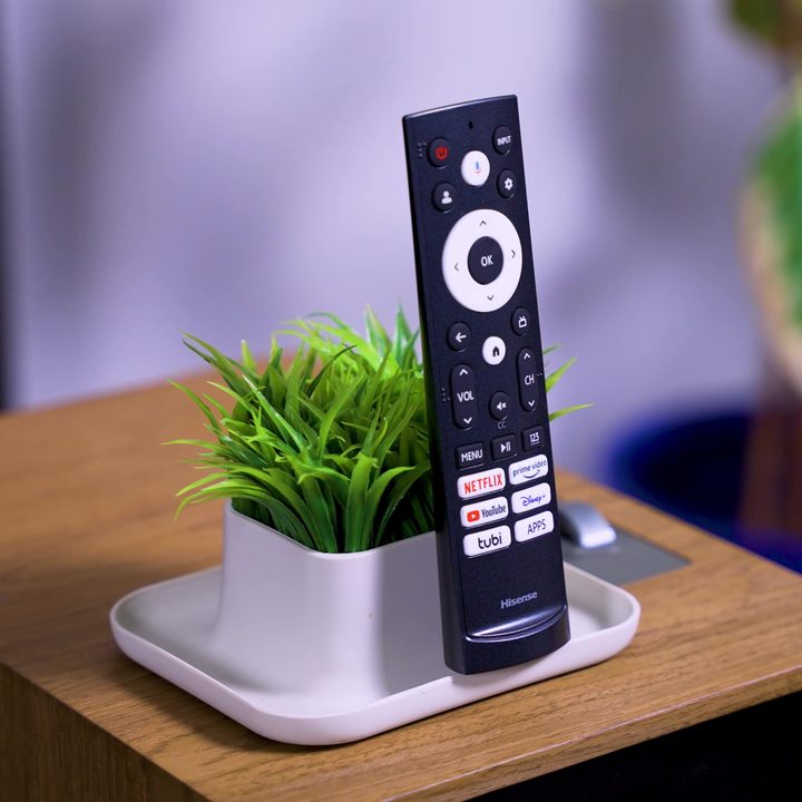 The remote control for a Hisense U7K propped against a smal plant.