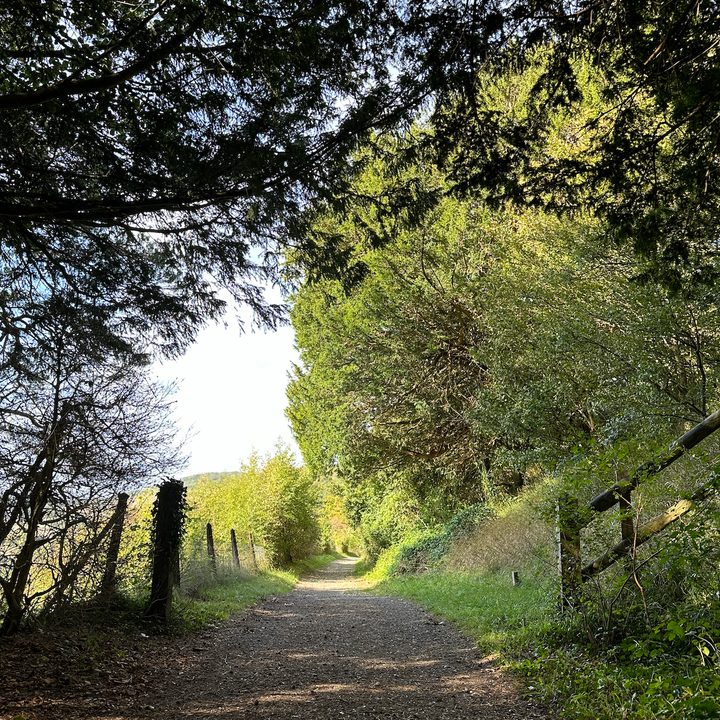 A photo taken with the Apple iPhone 14 Pro's main camera.