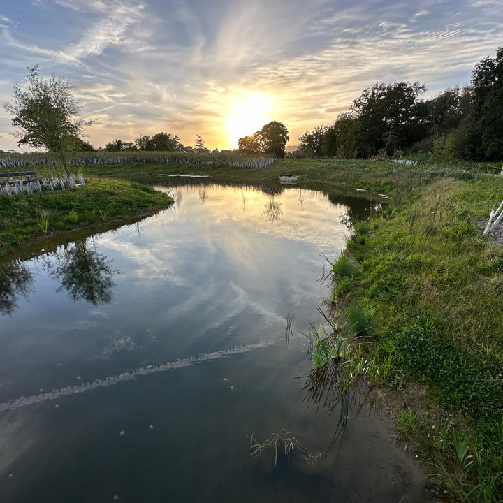 A wide-angle photo taken with the Apple iPhone 14 Pro.