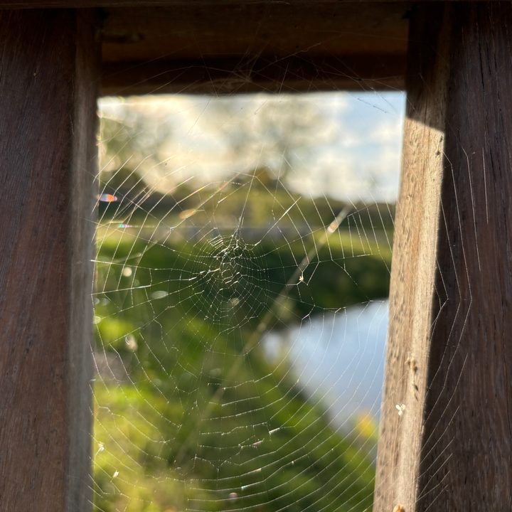 A photo taken with the Apple iPhone 15 Plus's main camera.