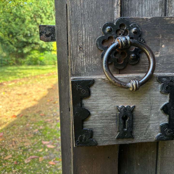 A photo taken with the Apple iPhone 15 Plus's main camera.