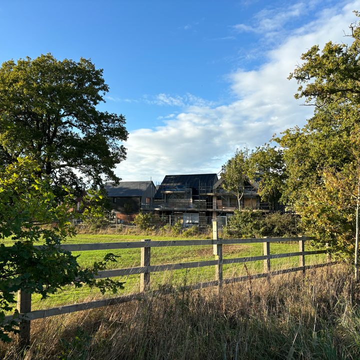 A photo taken with the Apple iPhone 15 Plus's main camera.