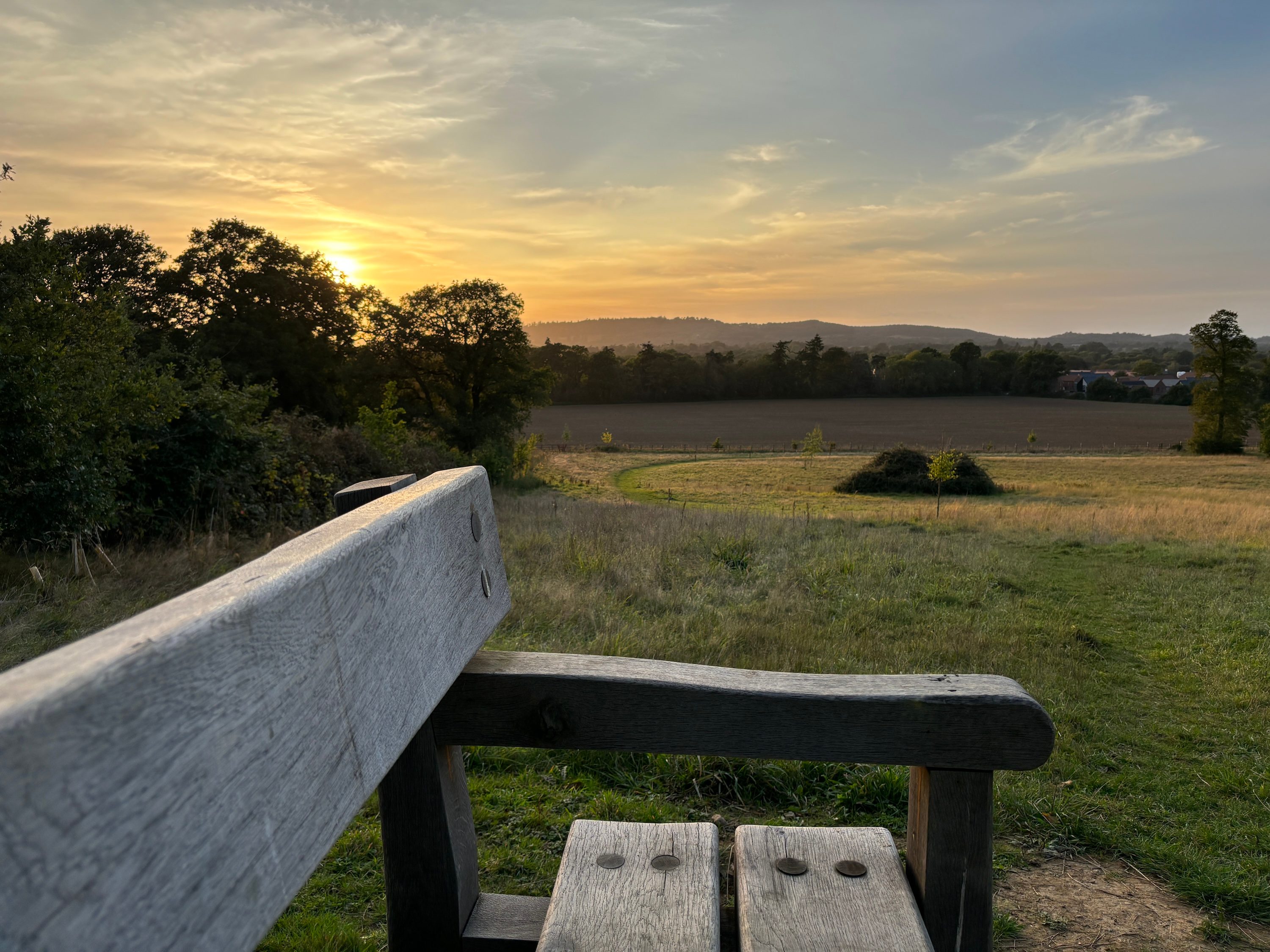 A photo taken with the Apple iPhone 15 Plus's main camera.