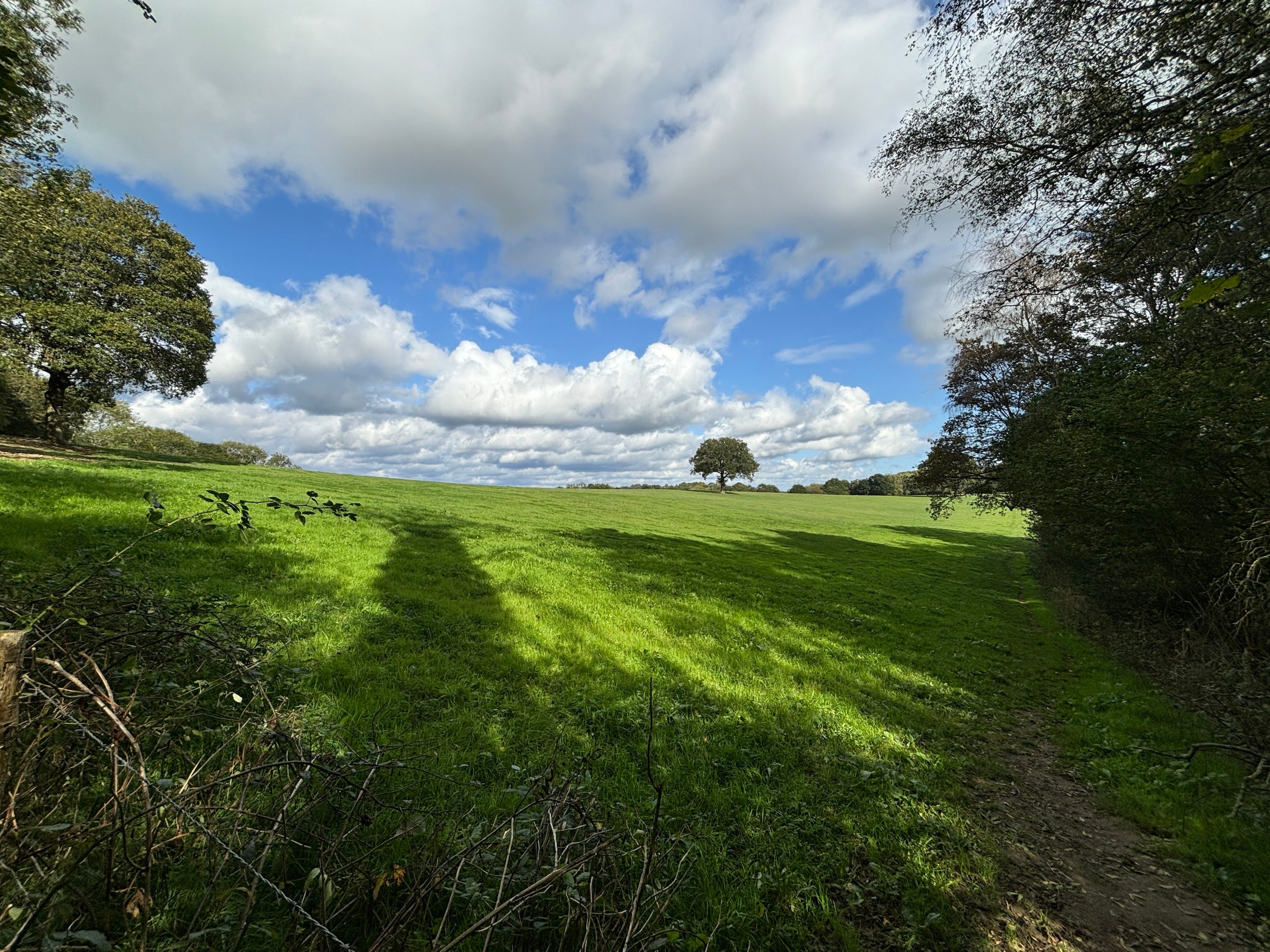 A photo taken with the Apple iPhone 15 Plus's wide-angle camera.
