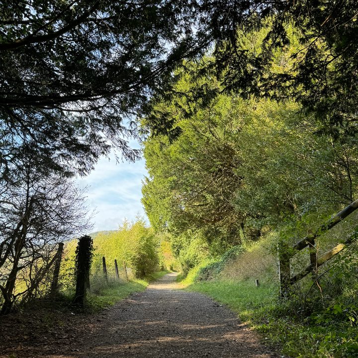 A photo taken with the Apple iPhone 15 Pro Max's main camera.
