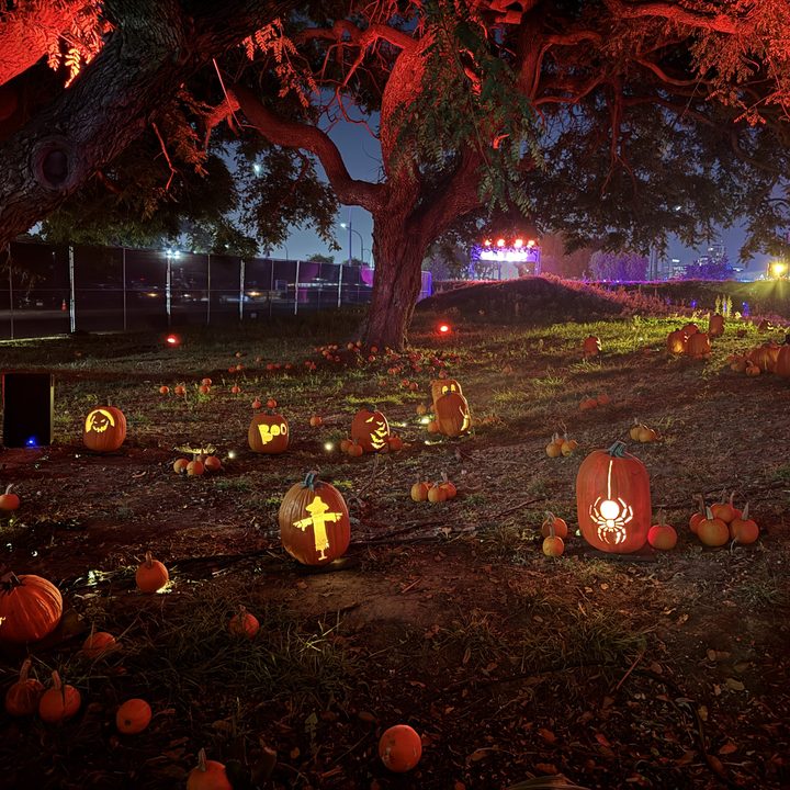Jack-o-lanterns taken with iPhone 15 Pro main camera in low light.