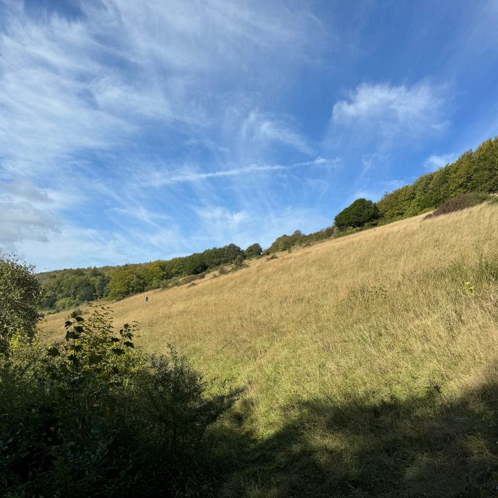 A photo taken with the Apple iPhone 15 Pro Max's 5x main camera.