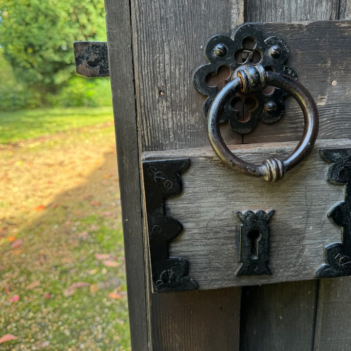 A photo taken with the Apple iPhone 15 Pro Max's main camera.