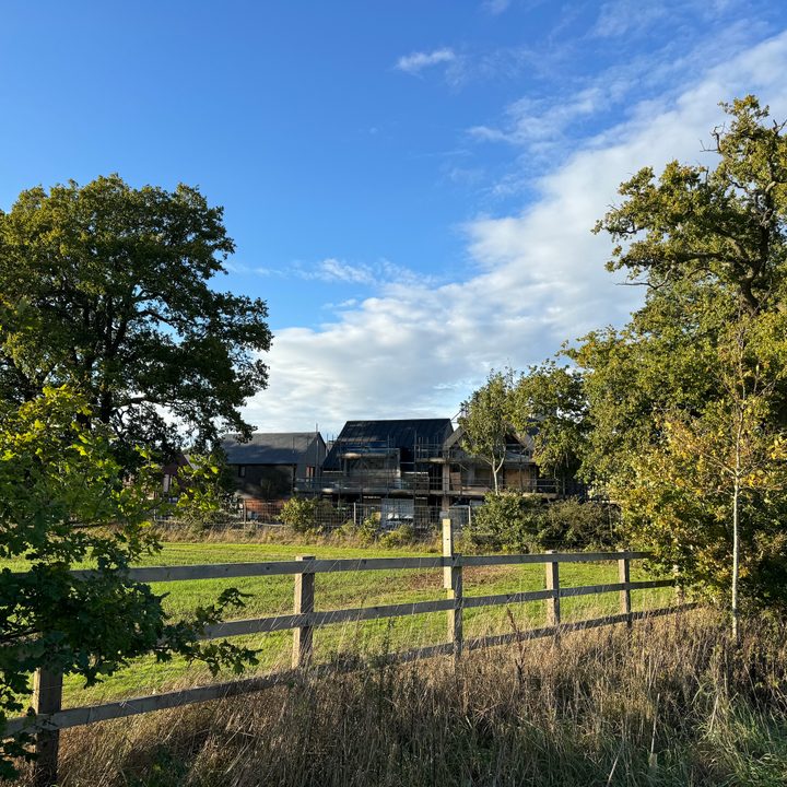 A photo taken with the Apple iPhone 15 Pro Max's main camera.