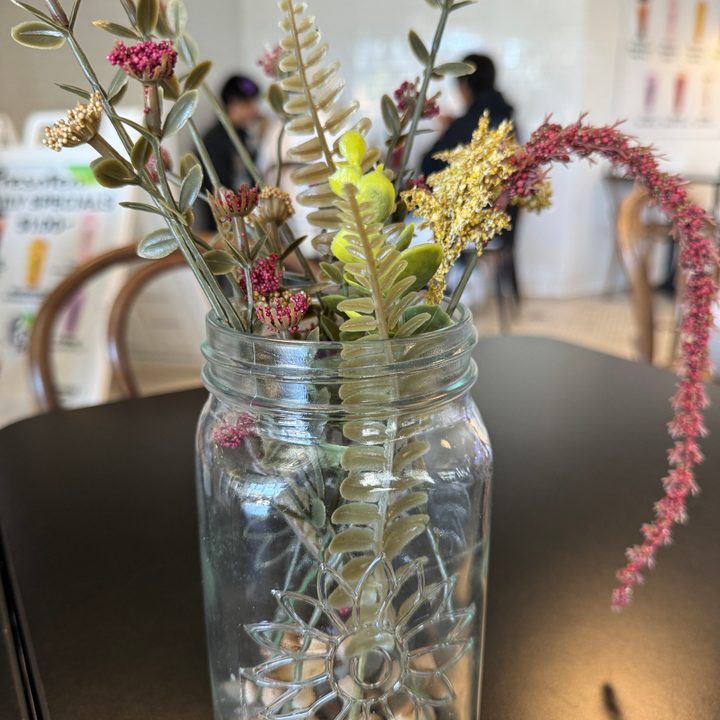 Table plant decor taken with iPhone 15 Pro main camera.