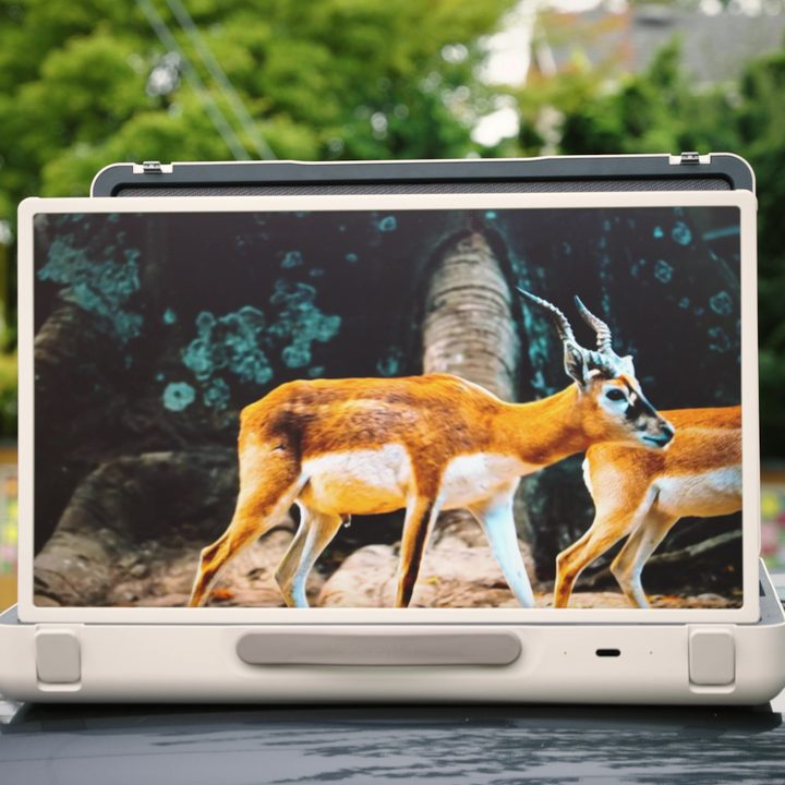 Two deer in the forest displayed on an LG StanbyMe Go monitor resting on the hood of a car.