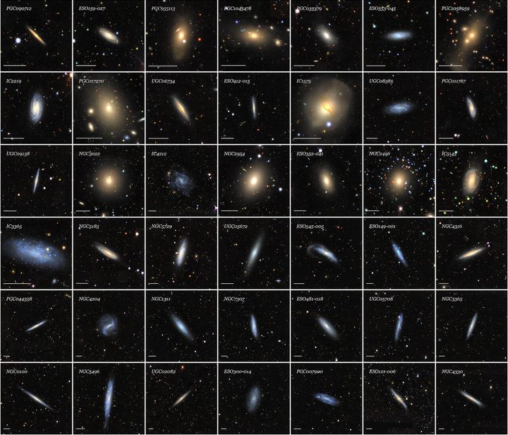 Optical mosaics of 42 galaxies from the SGA-2020 sorted by increasing angular diameter from the top-left to the bottom-right. Galaxies are chosen randomly from a uniform (flat) probability distribution in angular diameter. The horizontal white bar in the lower-left corner of each panel represents 1 arcminute and the mosaic cutouts range from 3.2 to 13.4 arcminutes. This figure illustrates the tremendous range of types, sizes, colors and surface brightness profiles, internal structure, and environments of the galaxies in the SGA.