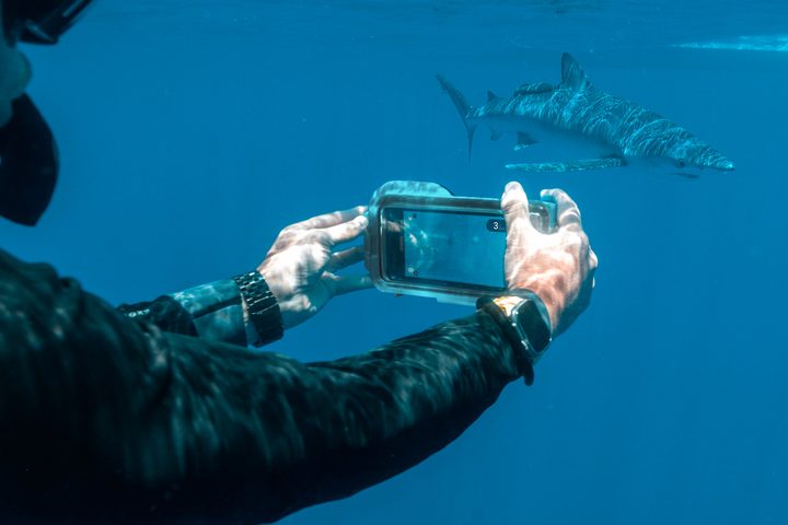 A person using the Oceanic+ Dive Housing.