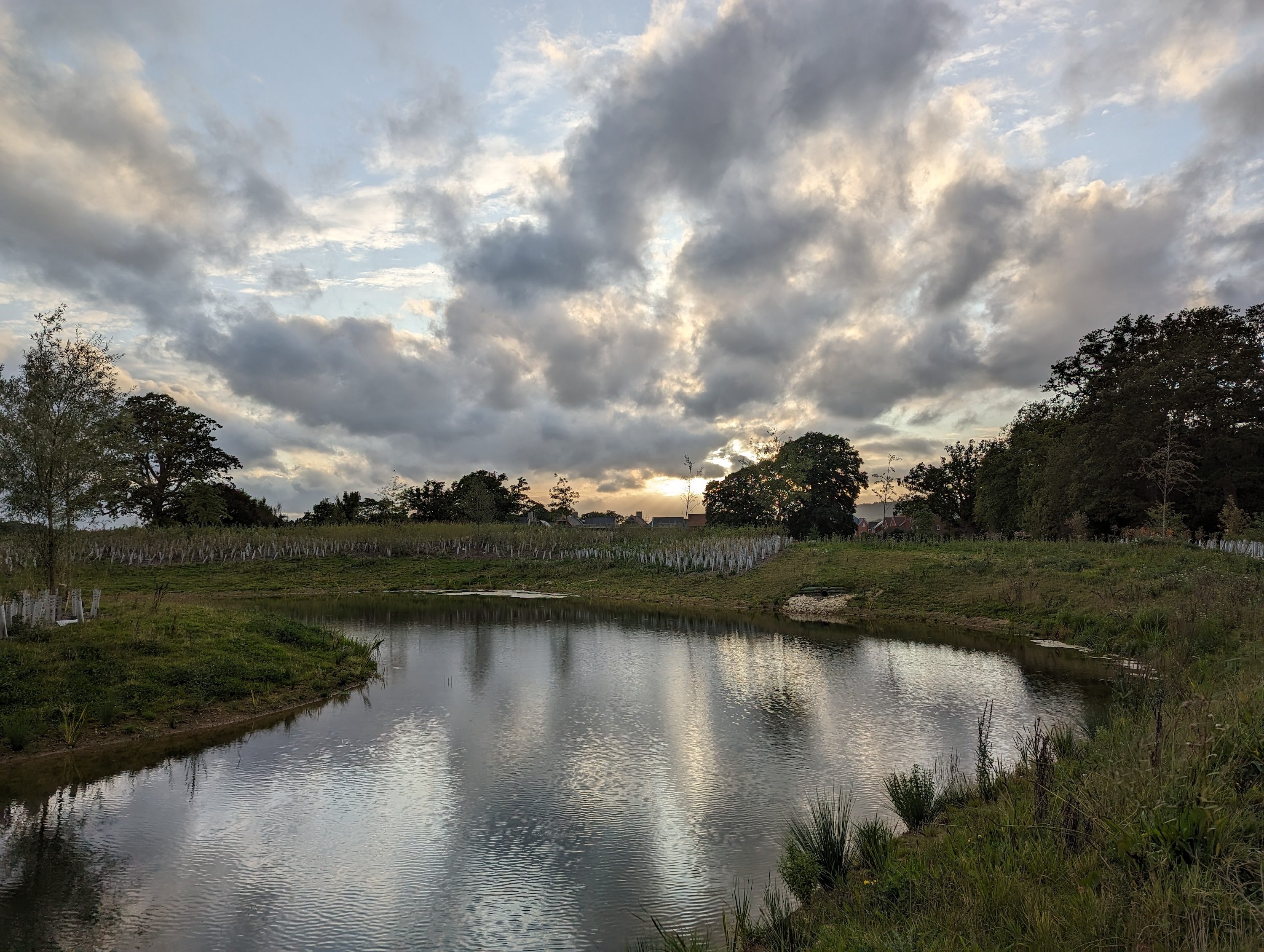 A photo taken with the Google Pixel 7 Pro.