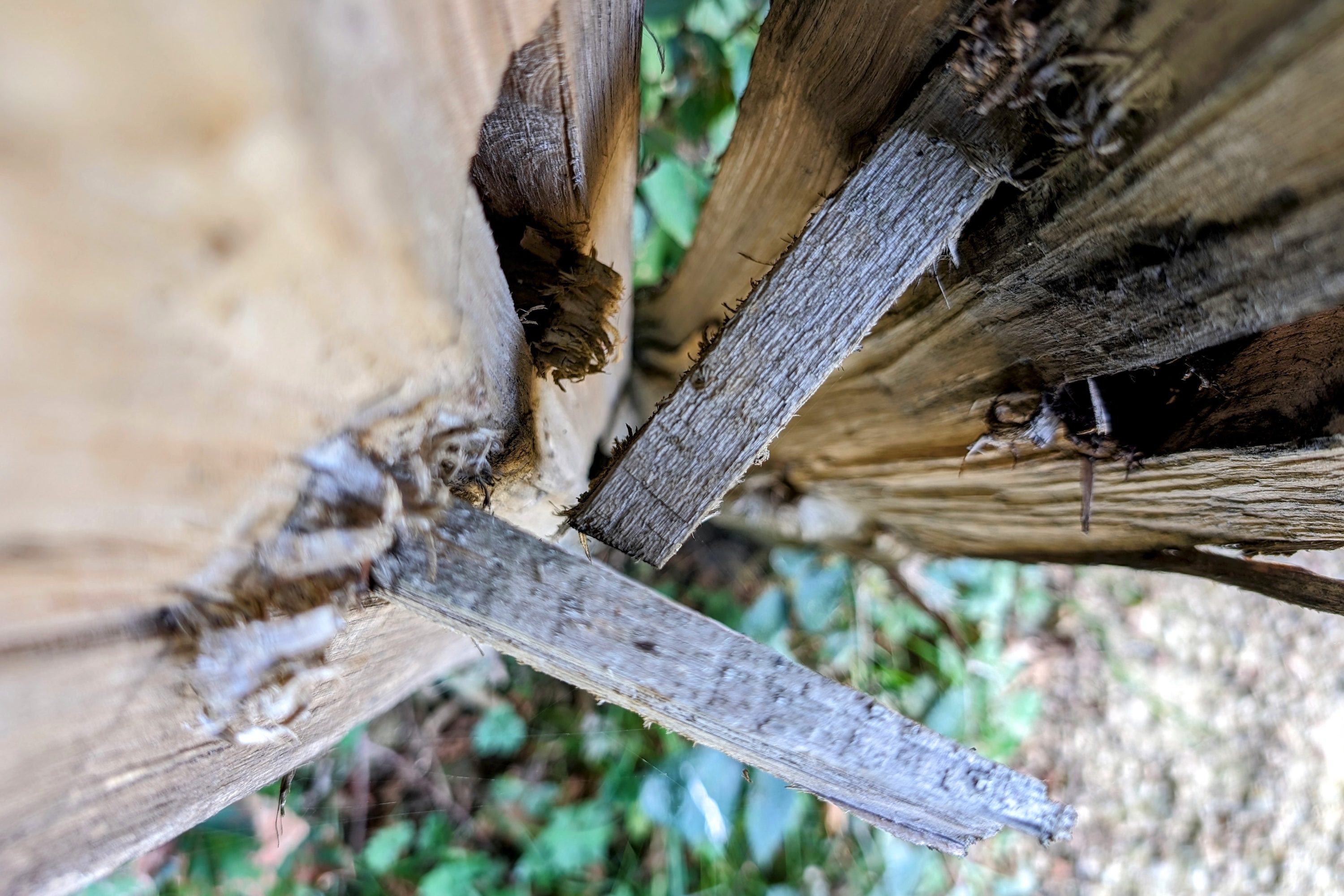 A photo taken with the Google Pixel 8, and edited with Google Photos.